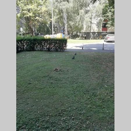 Sarmantni Apartman Malecka Zagabria Esterno foto