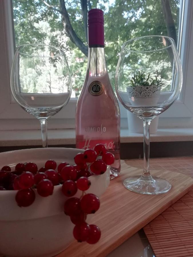 Sarmantni Apartman Malecka Zagabria Esterno foto